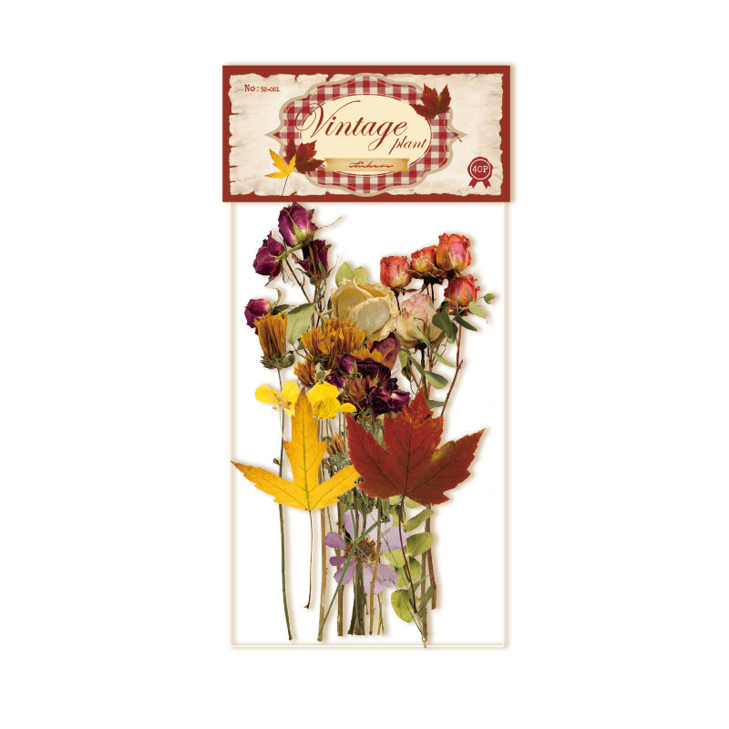 30 Pcs Botanical Plant PET Stickers LWJC