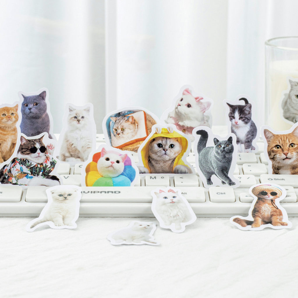 Xikomo Cat Stickers