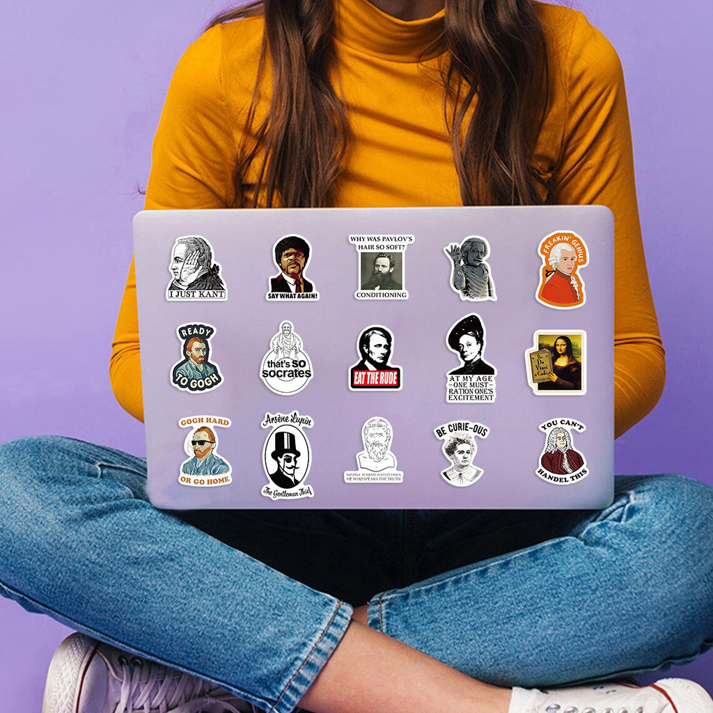 50PCS Funny Sarcastic Meme Vinyl Stickers FUN03