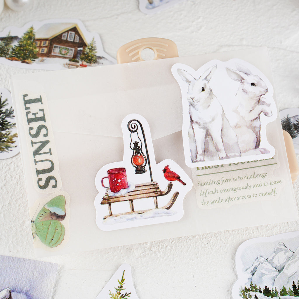 30 Pcs Snow Theme Stickers BGXS