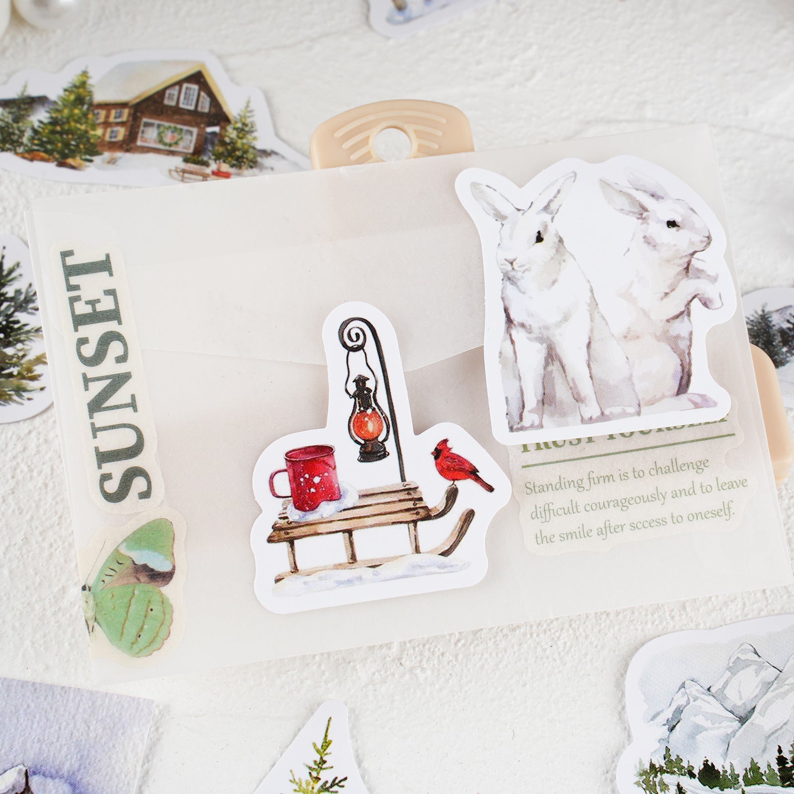 30 Pcs Snow Theme Stickers BGXS