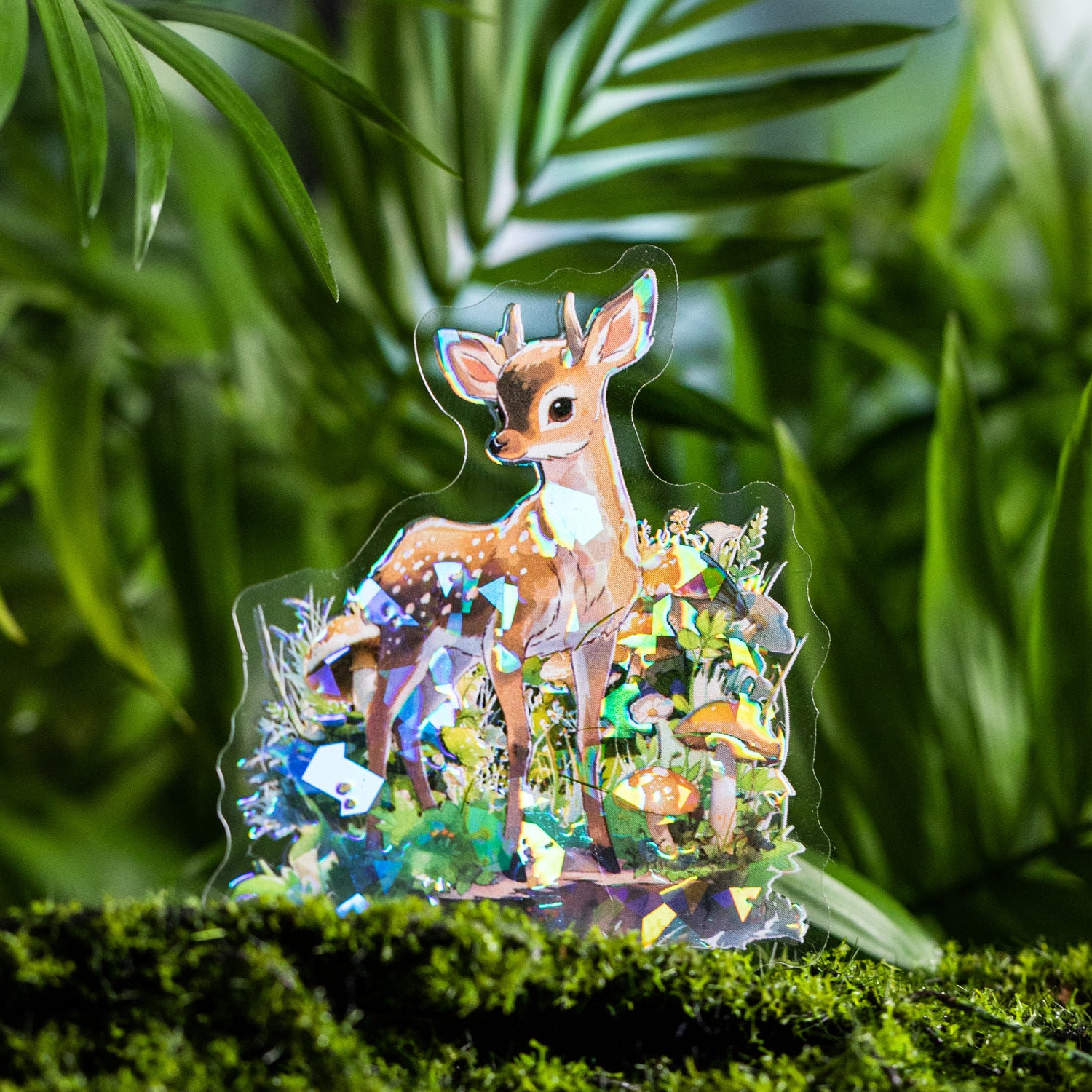 10 Pcs Animal PET Tape DWXXSL