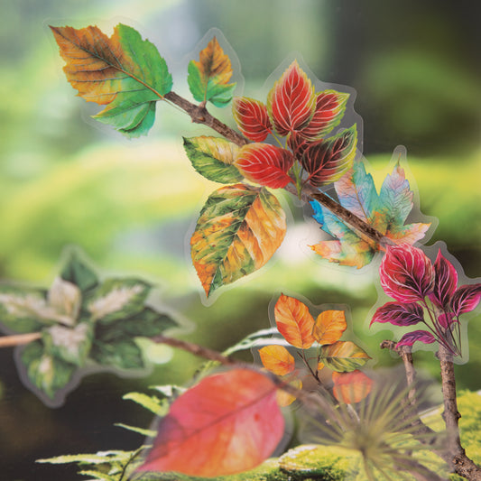 15 Pcs Leaf PET Stickers YZFX