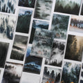 30 Pcs Forest Stickers MLSL