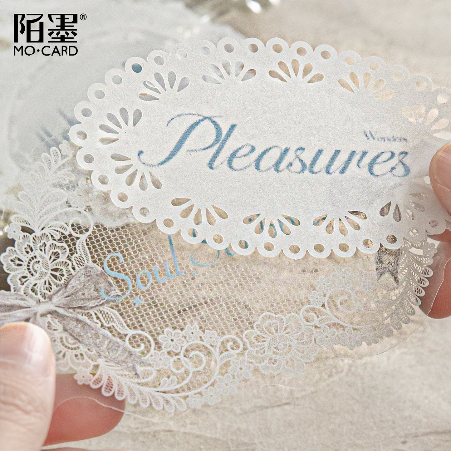 10 Pcs Lace Edged Journal Stickers LSHX