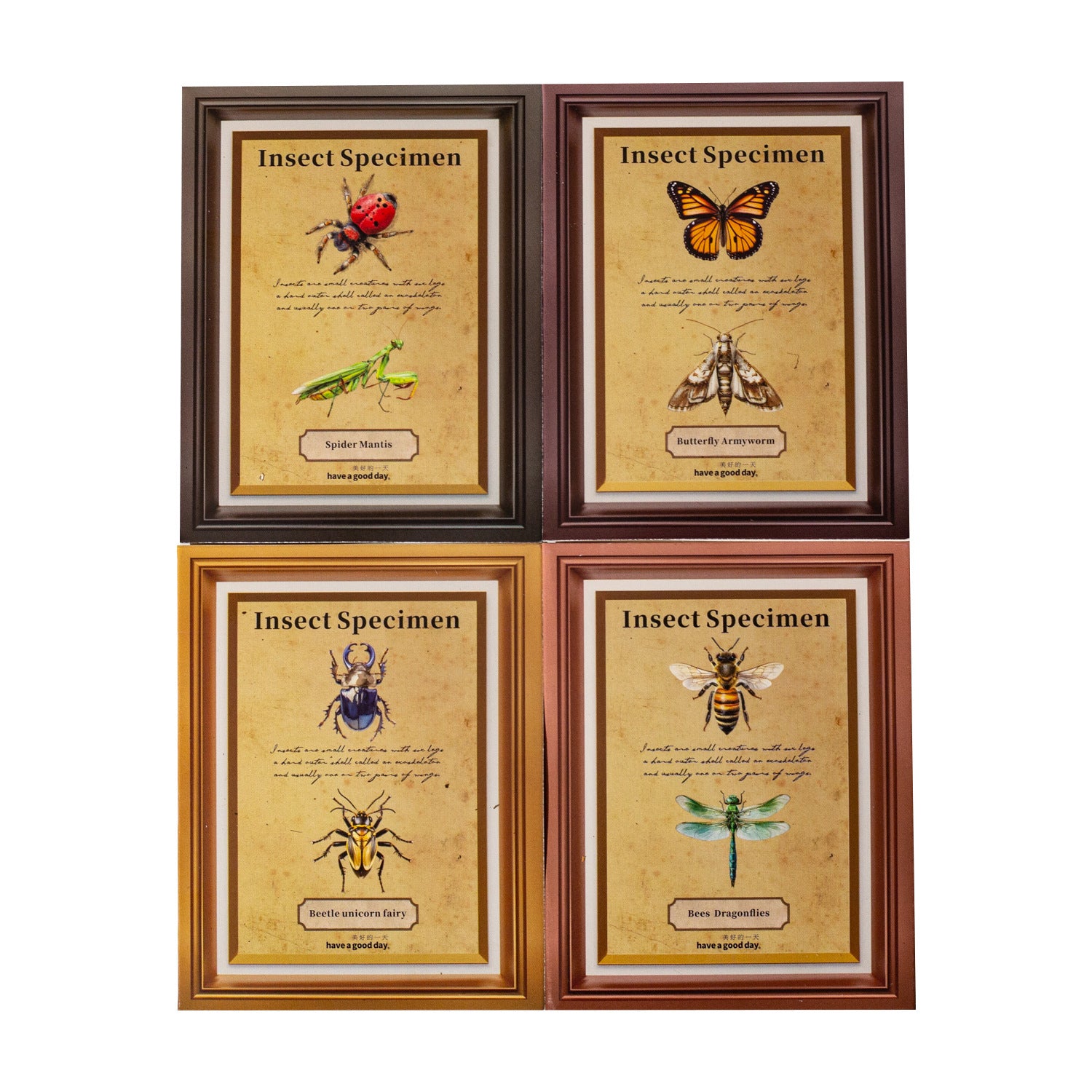 25 Pcs Insect PET Stickers KCBBTJ