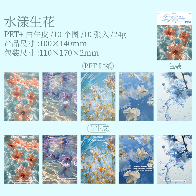 10 Sheets Texture PET Stickers and Paper SMHJ