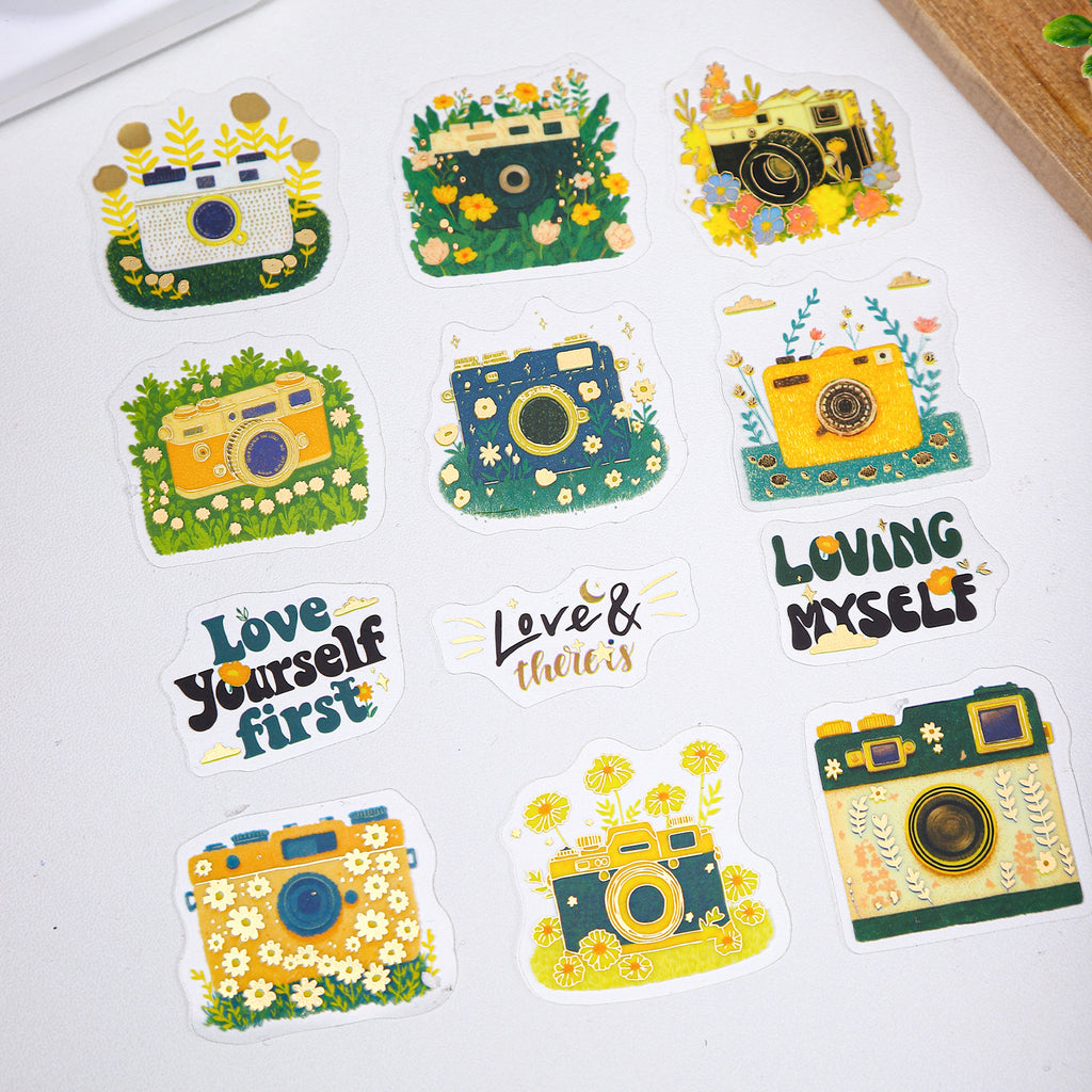 30 Pcs Cartoon Drawing PET Stickers JQSK