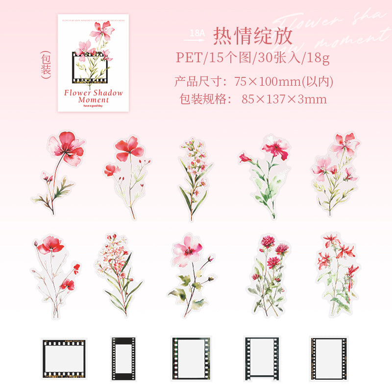 30 Pcs Flower and Frame PET Stickers HYSJ