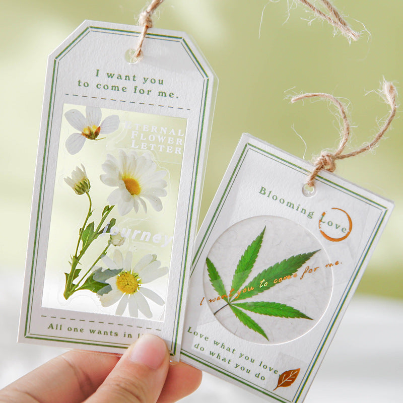 54 Pcs Stickers and Paper Kit YRHX