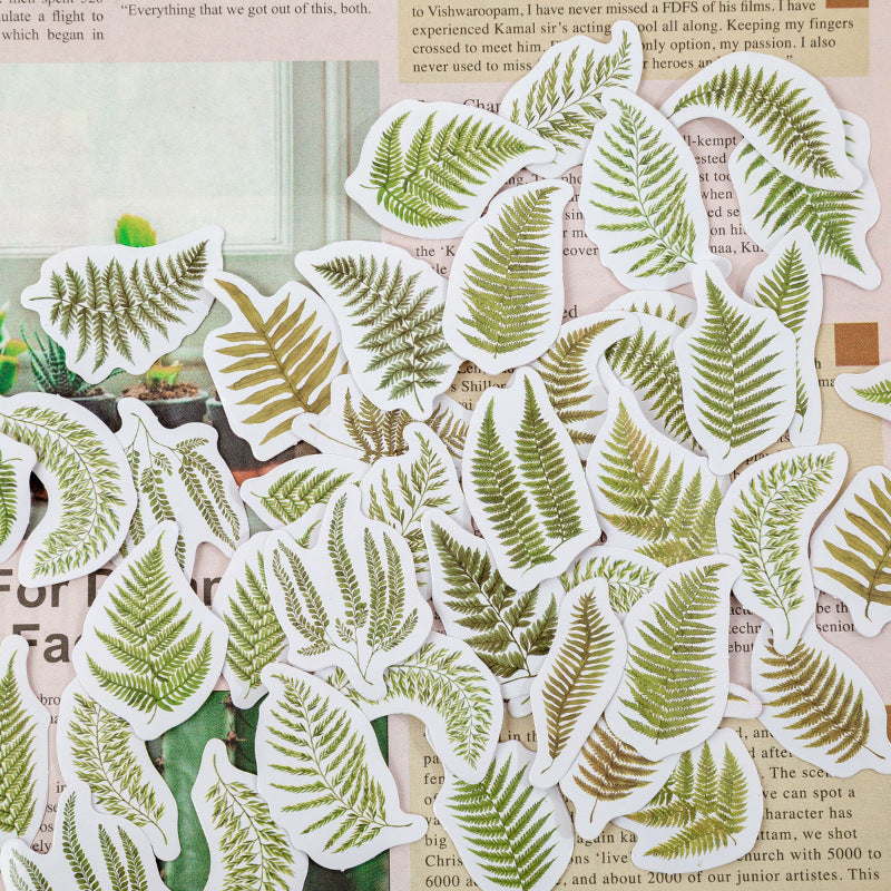 46 Pcs Fern Stickers JYBN