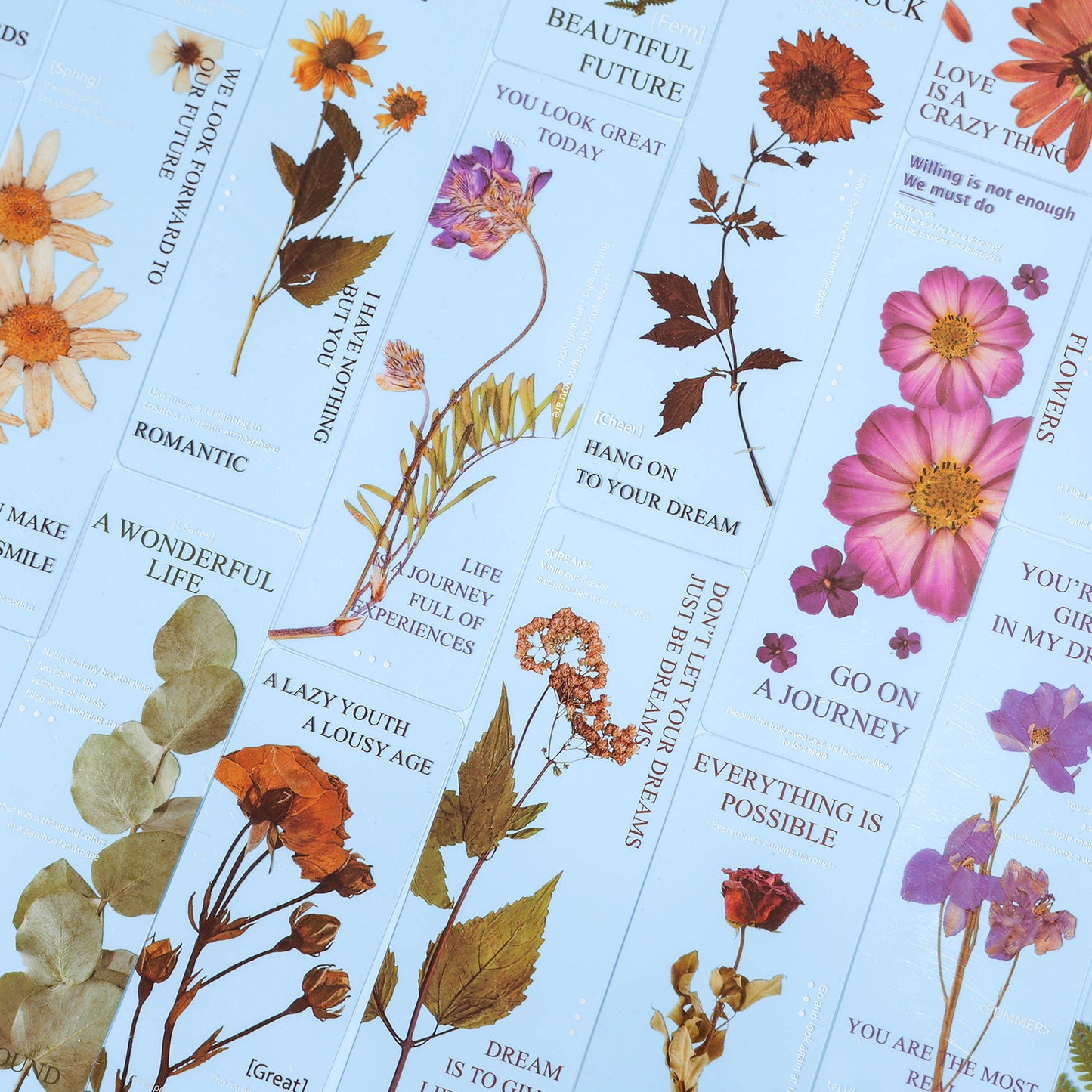 5 Sheets Botanical PET Bookmark QJHY