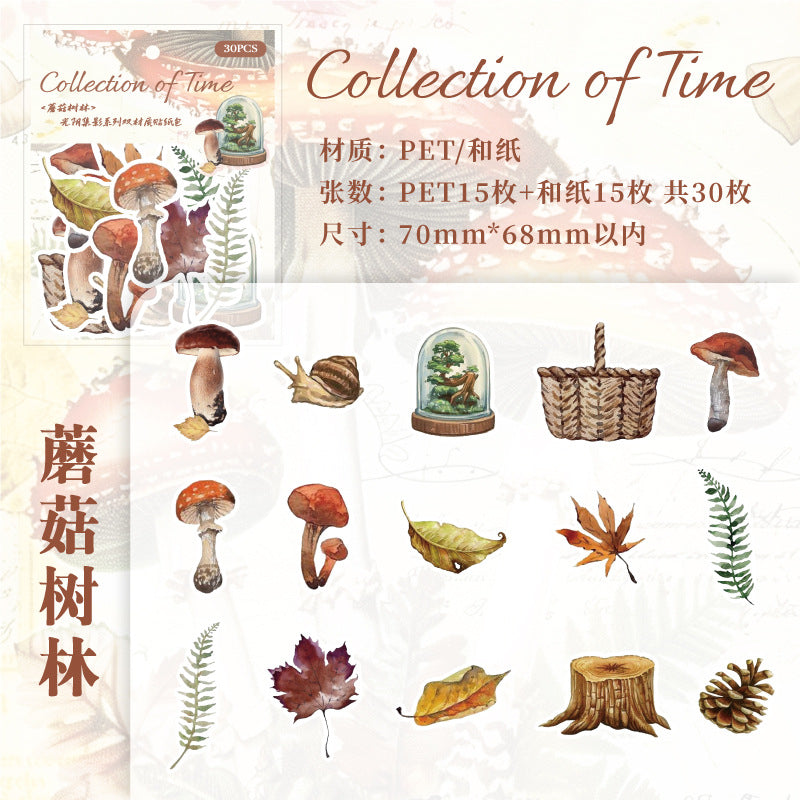 30 Pcs Vintage Washi Stickers GYYJ