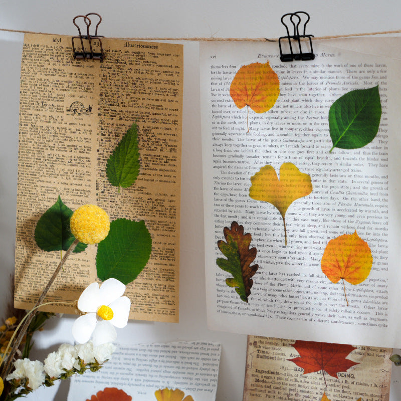 40 Pcs PET Leaf Stickers YZMY