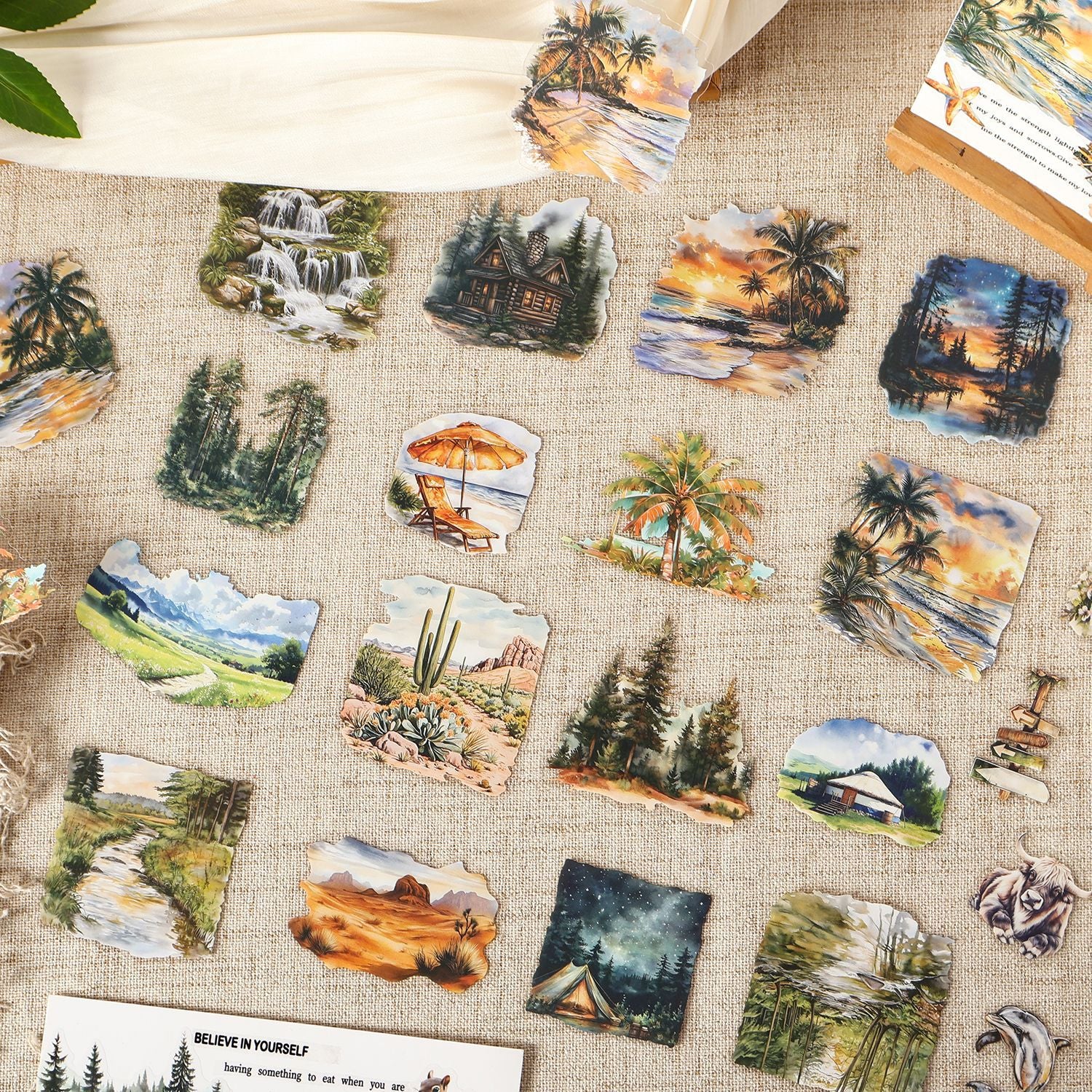15 Pcs Natural Landscape PET Stickers ZRZL