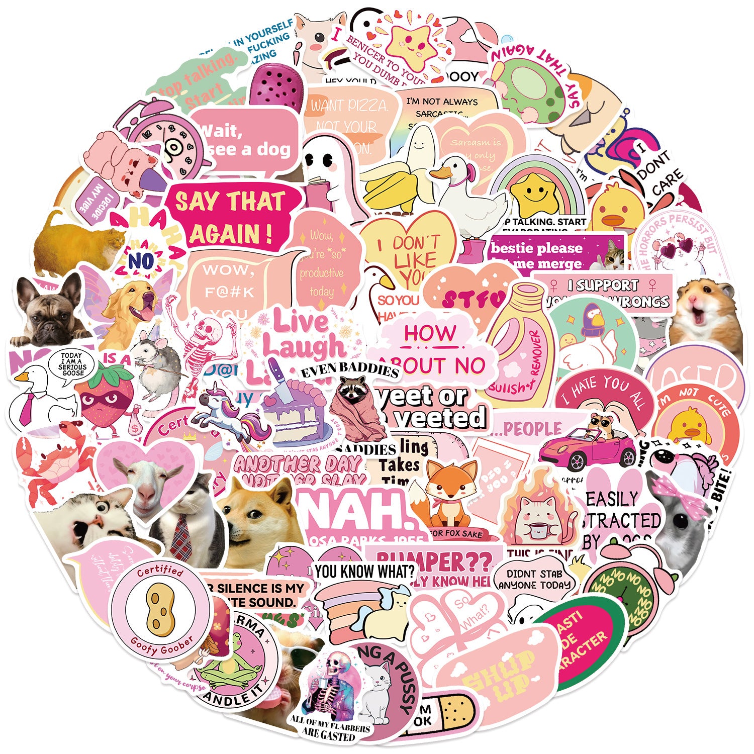 50PCS Funny Sarcastic Meme Vinyl Stickers FUN15