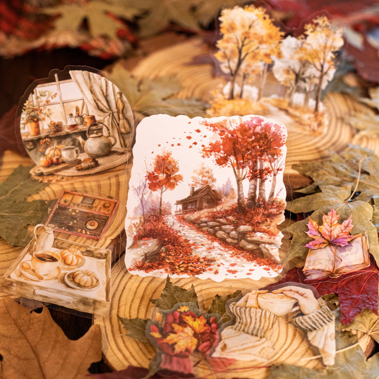 15 Pcs Autumn PET Stickers QTDRJ