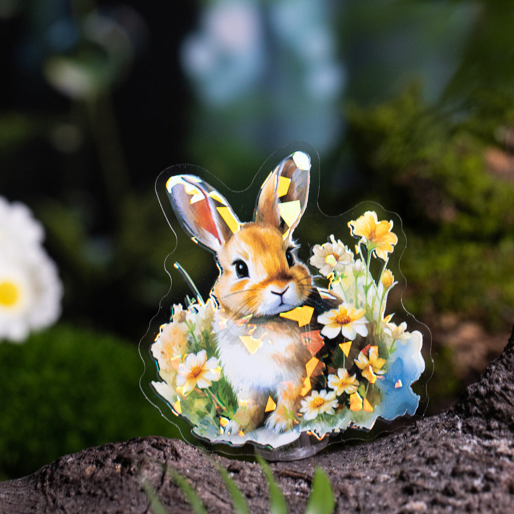 10 Pcs Animal PET Tape DWXXSL