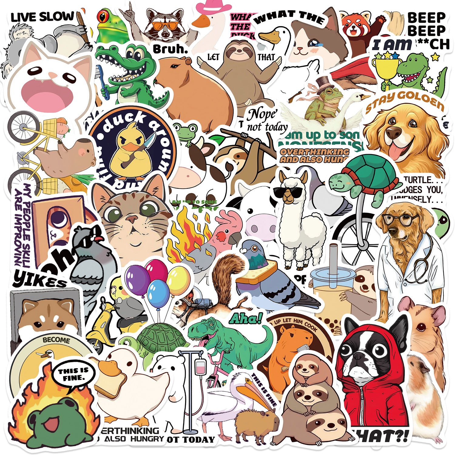 50PCS Funny Sarcastic Meme Vinyl Stickers FUN17