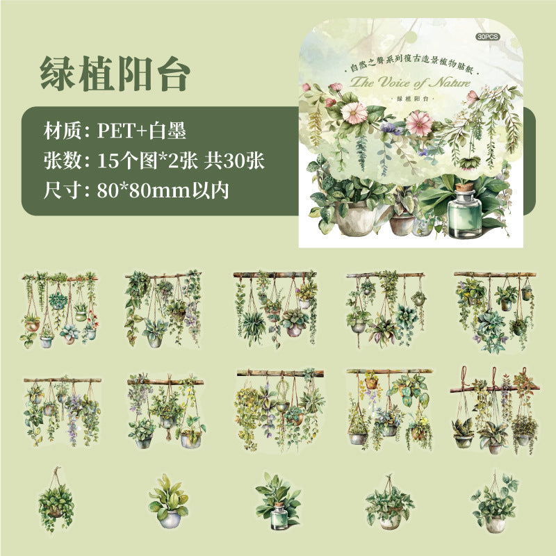 30 Pcs PET Flower Vine Stickers ZRZS