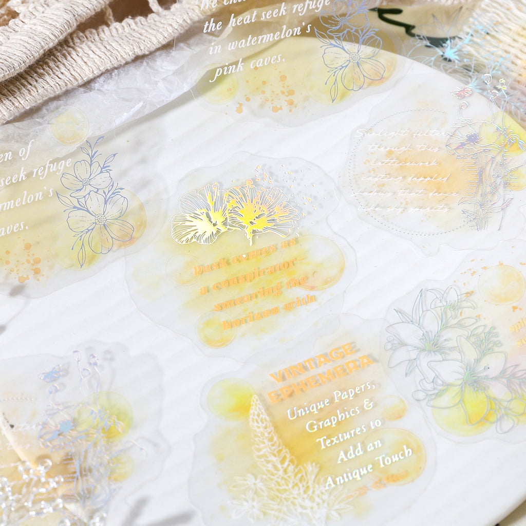 10 Pcs Watercolor Quote PET Stickers QMHJ