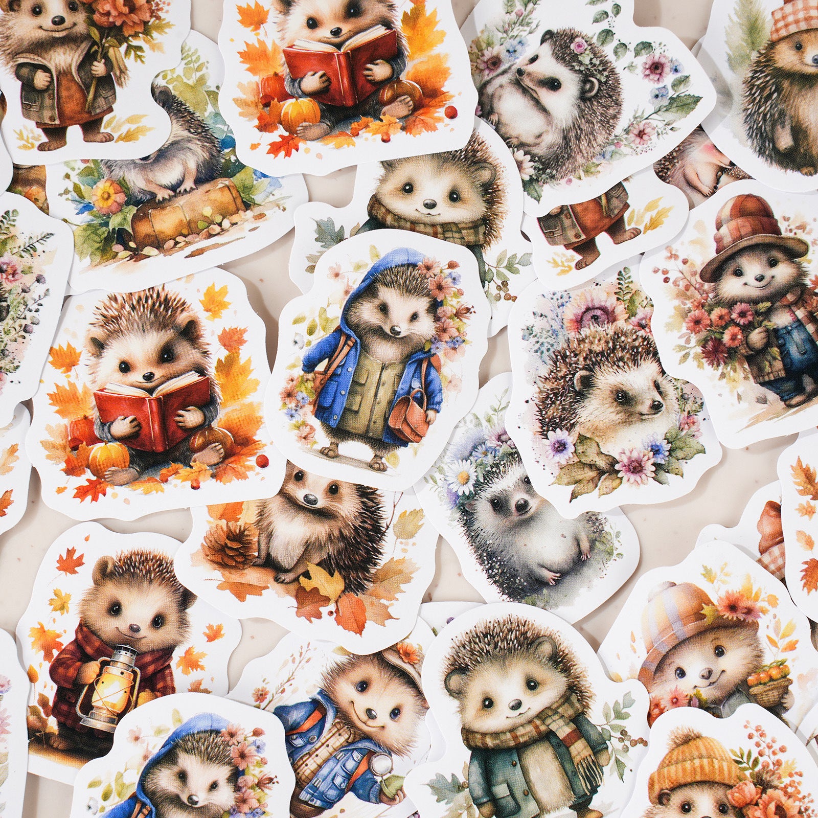 46 Pcs Hedgehog Stickers CWHJ