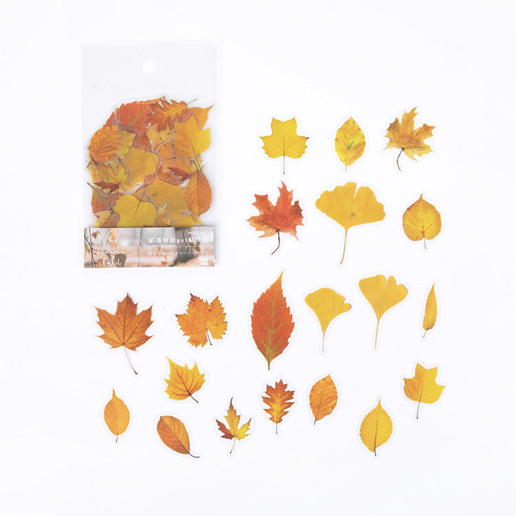 40 Pcs Autumn Leaves PET Stickers