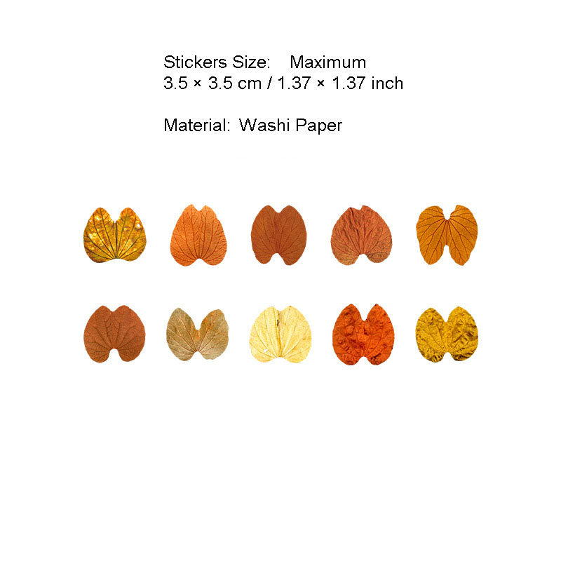 50 Pcs Petal Leaf Washi Stickers XXDLY