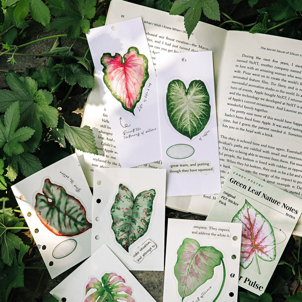 20 Pcs Big Size Leaf Stickers LYZRSZ