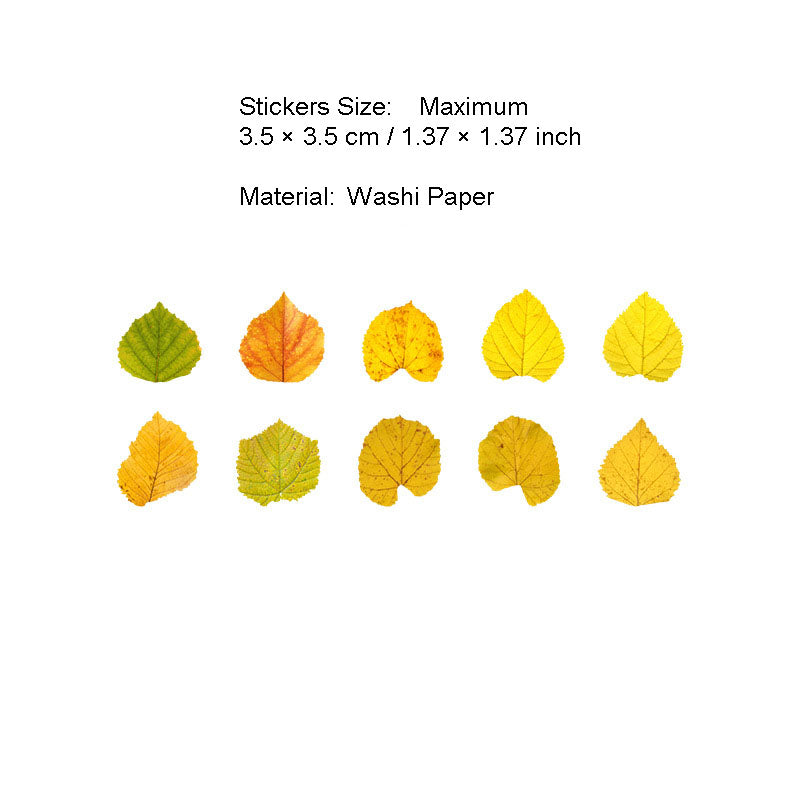 50 Pcs Petal Leaf Washi Stickers XXDLY