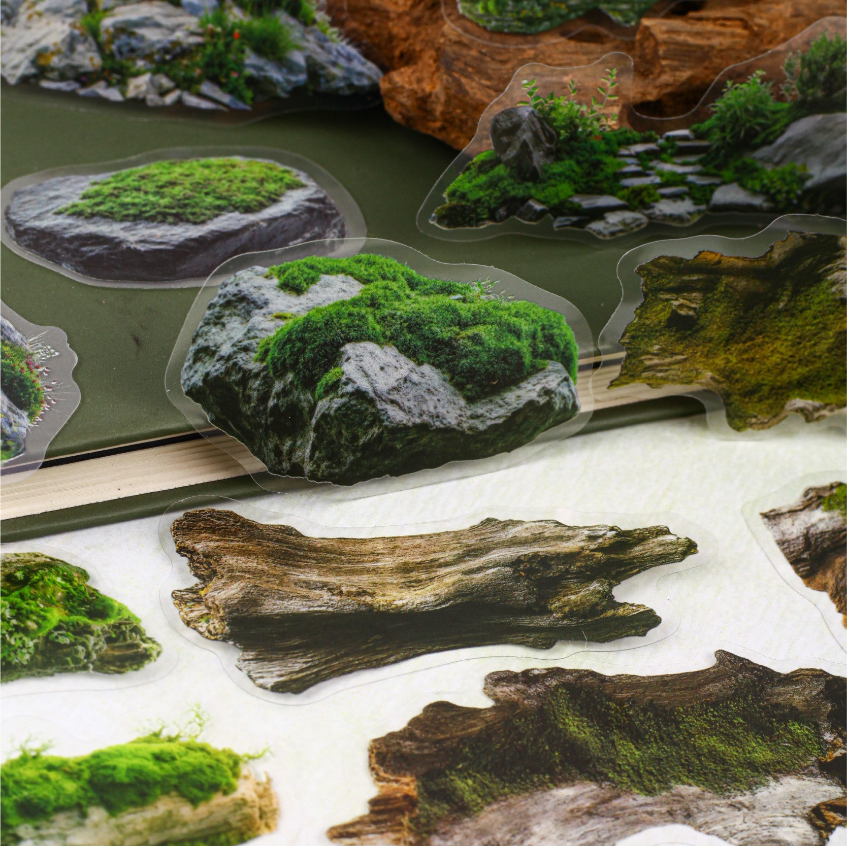 20 Pcs Moss Wooden PET Stickers TXXL