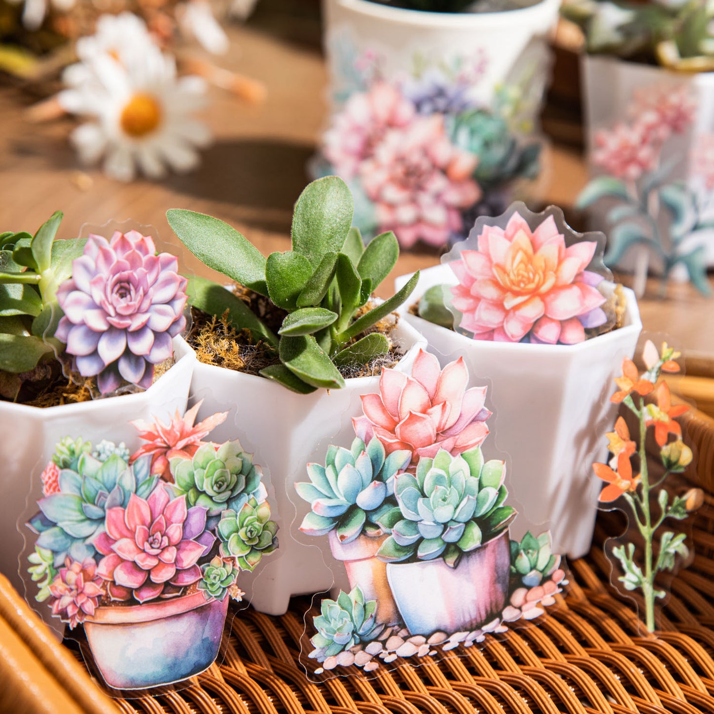 20 Pcs Succulent PET Stickers DRXJ