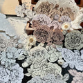 Floral Decorative Tape Rolls- Line-Art Botanicals