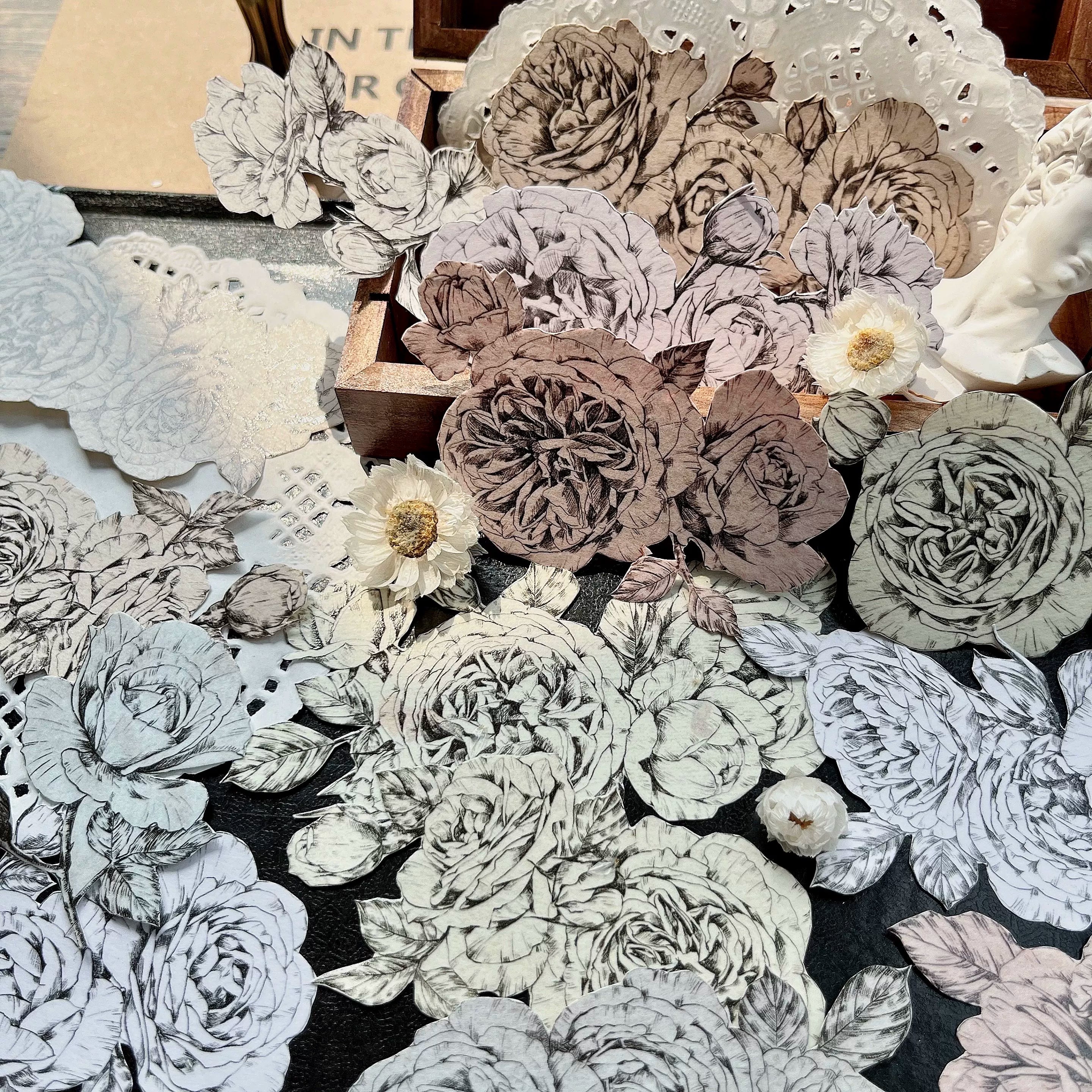 Floral Decorative Tape Rolls- Line-Art Botanicals