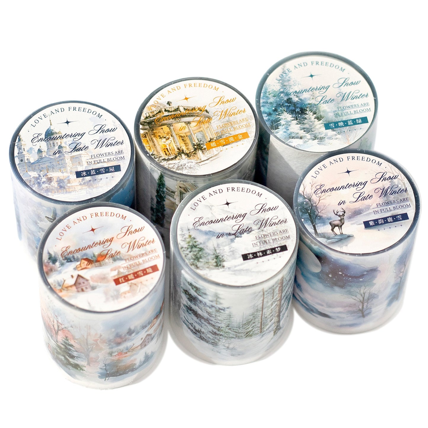 1 Roll Winter Landscape PET Tape WDYX