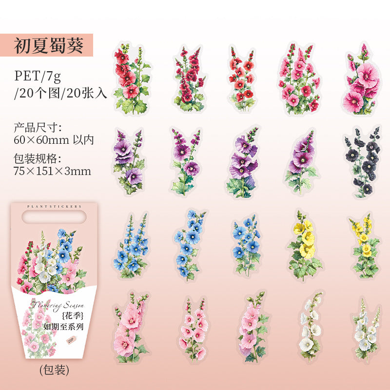 20 Pcs PET Flower Stickers HJRQZ