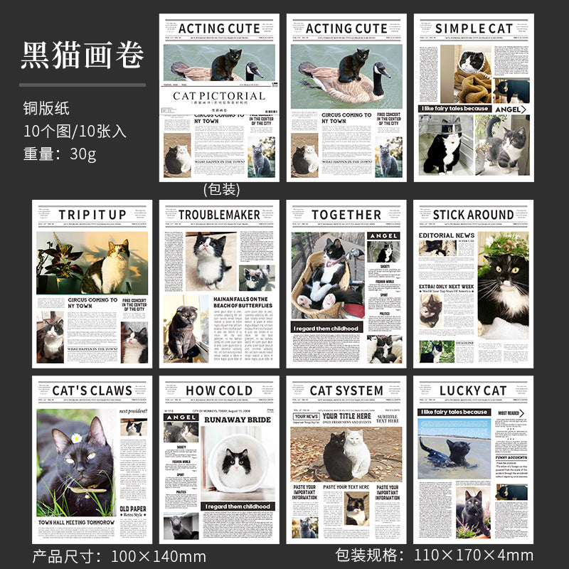 Hakan Cat Stickers Book