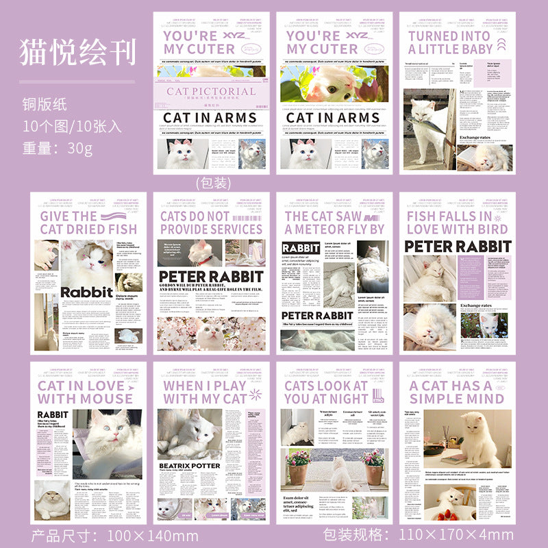Hakan Cat Stickers Book