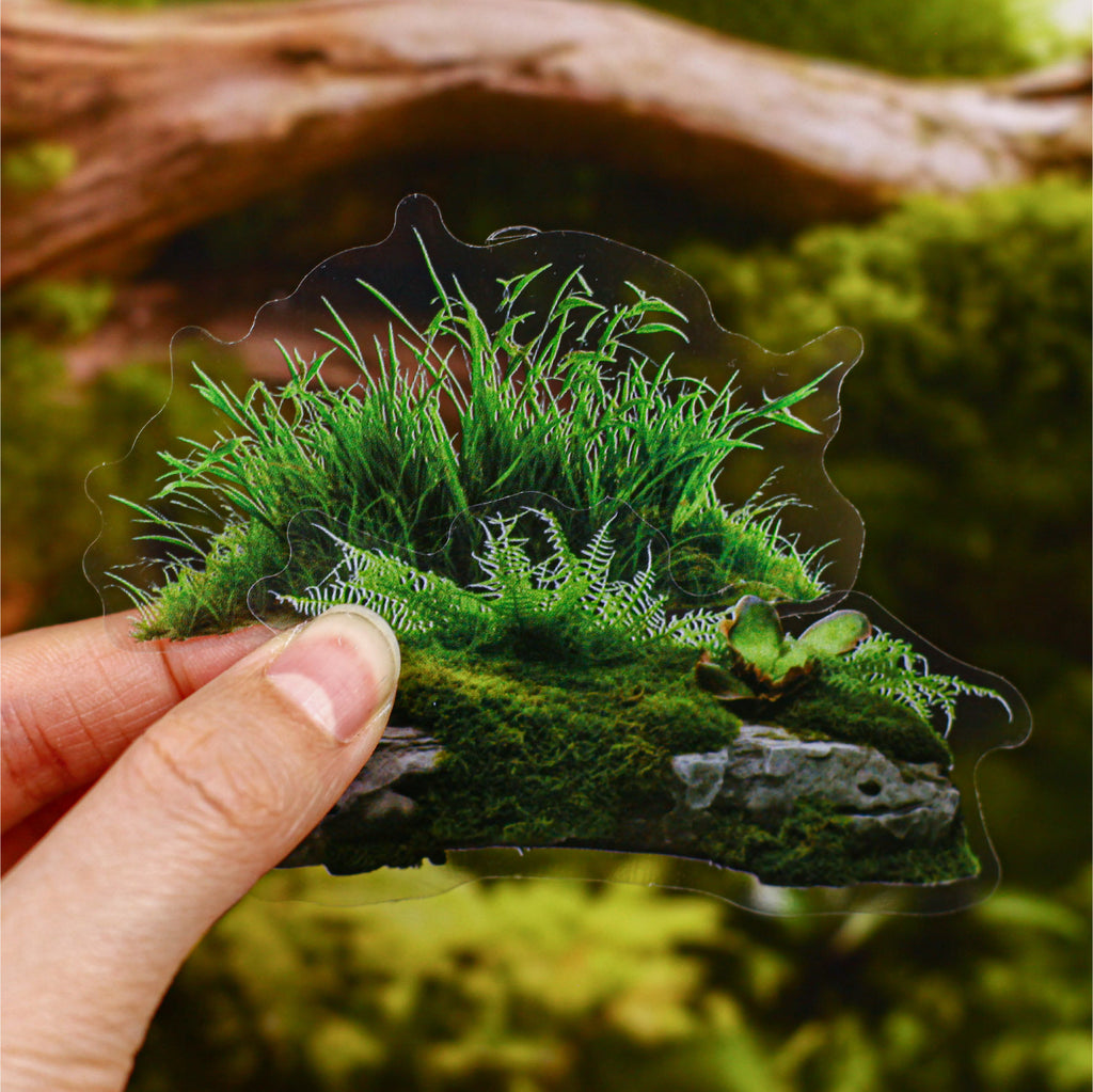 20 Pcs Moss Wooden PET Stickers TXXL