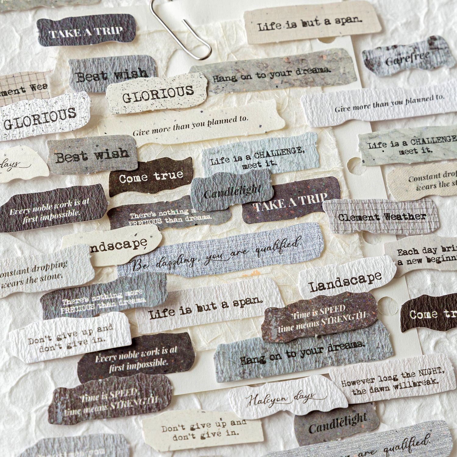 50 Pcs Vintage Quote Speckled Paper Stickers - Daily