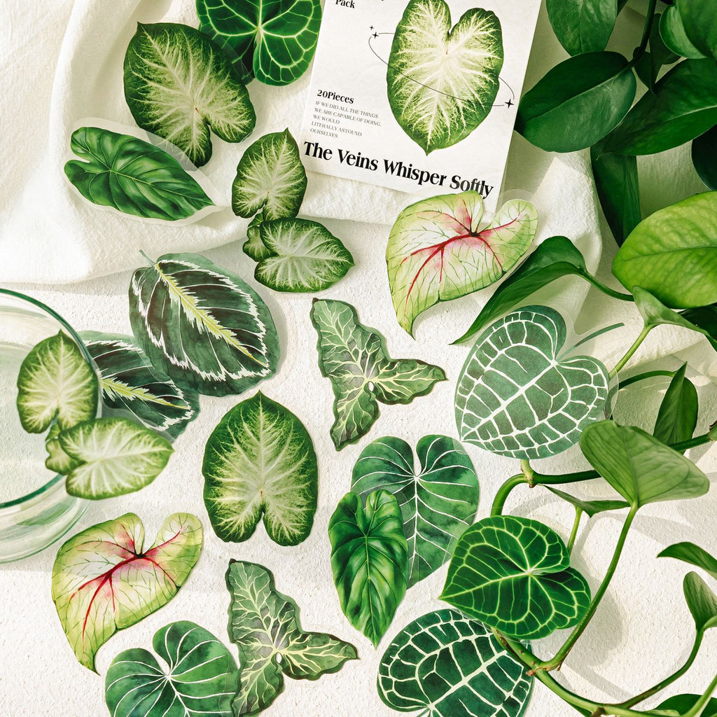 20 Pcs Big Size Leaf Stickers LYZRSZ