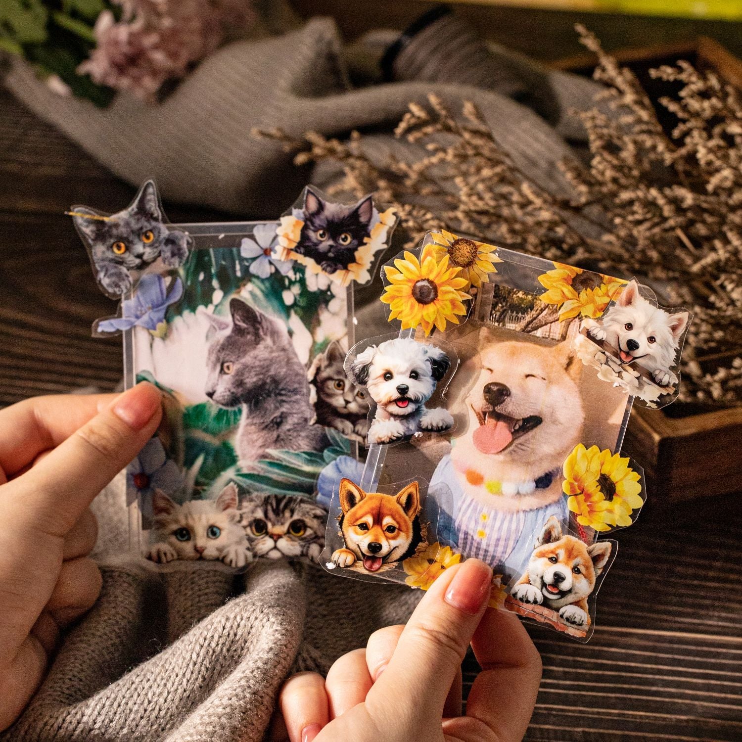 1 Roll Pet Theme Die Cut PET Tape MGJL
