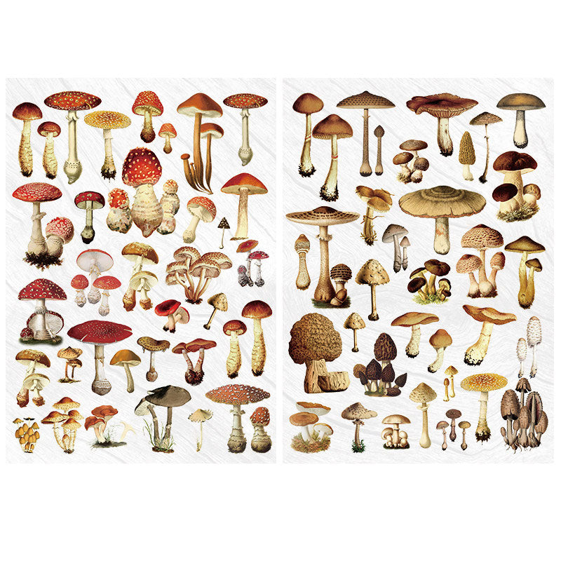 2 Sheets Waterproof Rub on Stickers - Mushroom