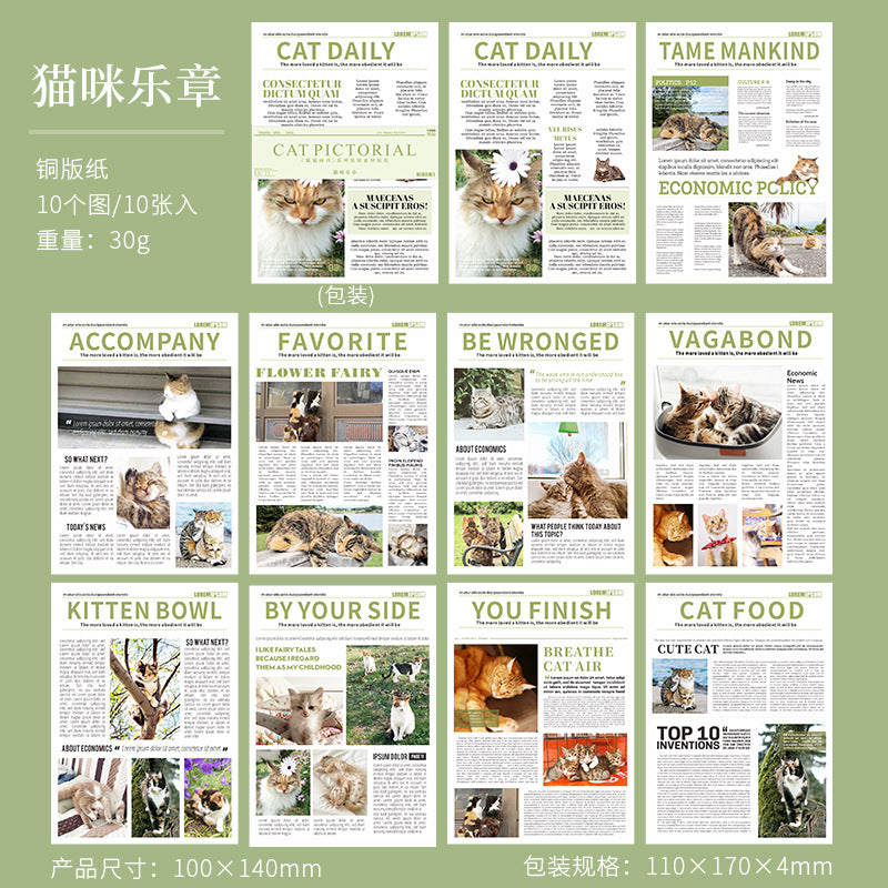 Hakan Cat Stickers Book