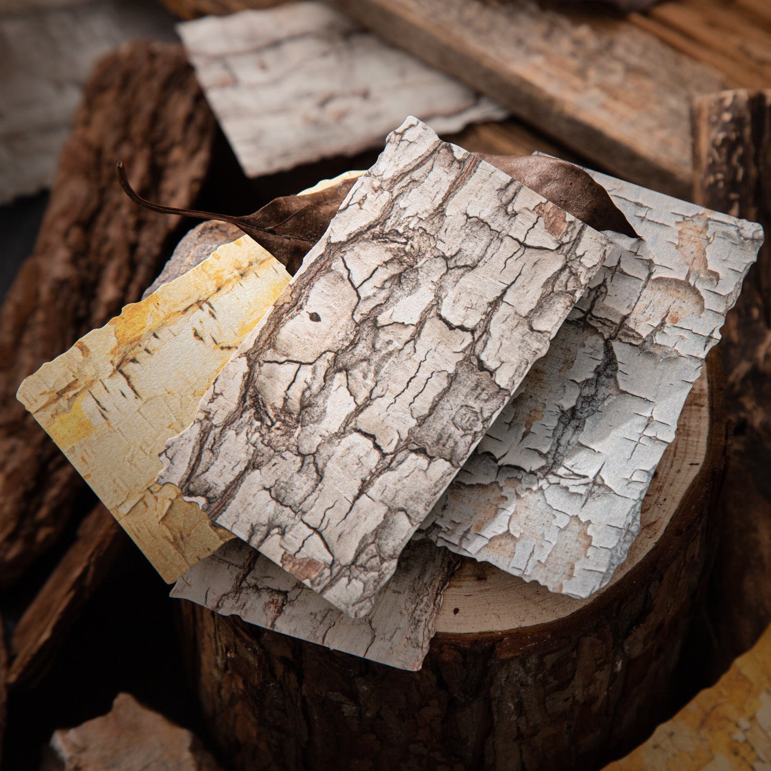 20 Sheets Tree Bark Texture Journal Paper SWYJ