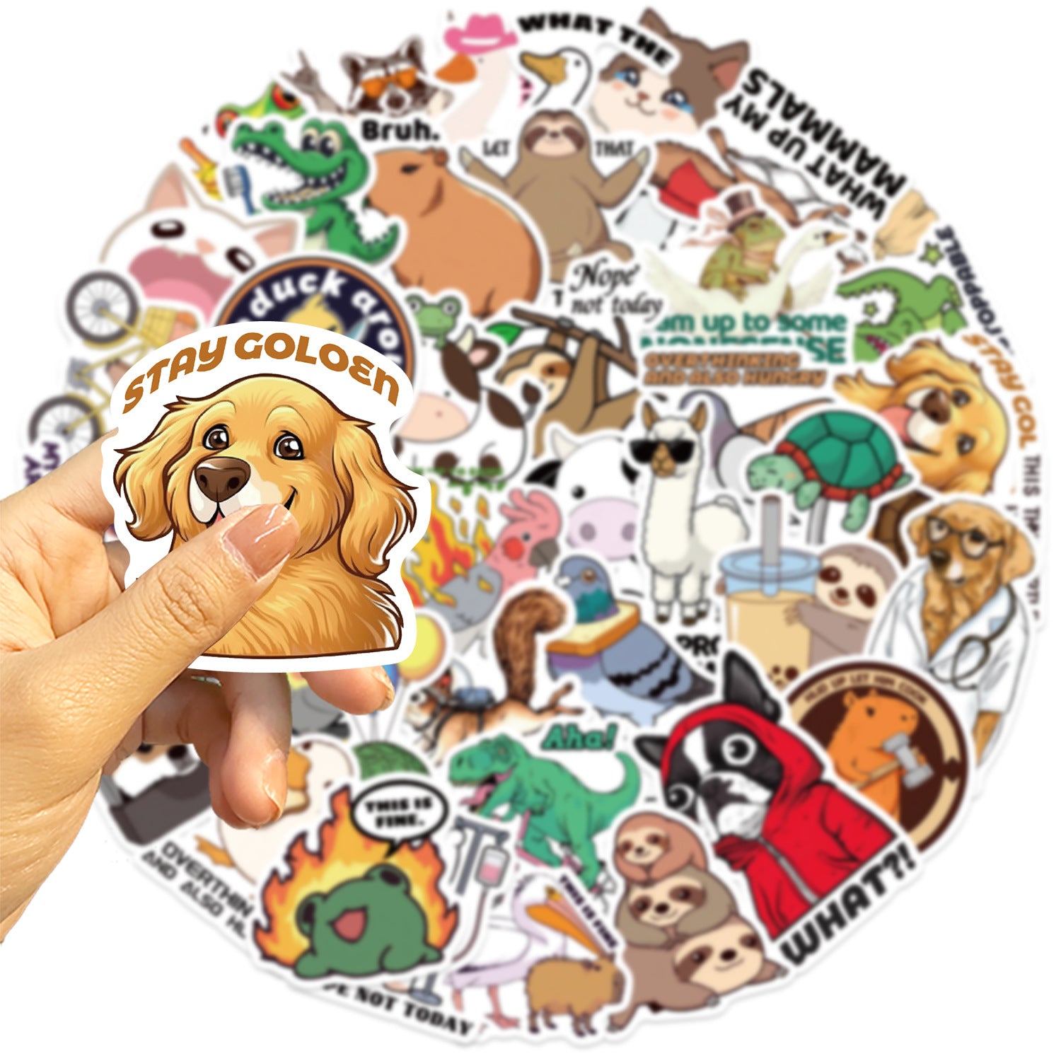 50PCS Funny Sarcastic Meme Vinyl Stickers FUN17