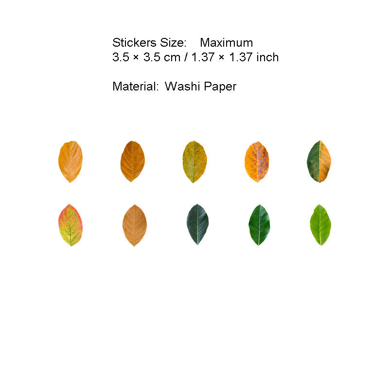 50 Pcs Petal Leaf Washi Stickers XXDLY
