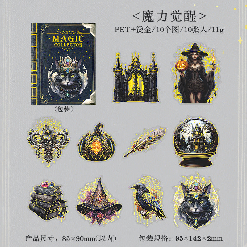 10 Pcs Magic Theme PET Stickers MFSCJ