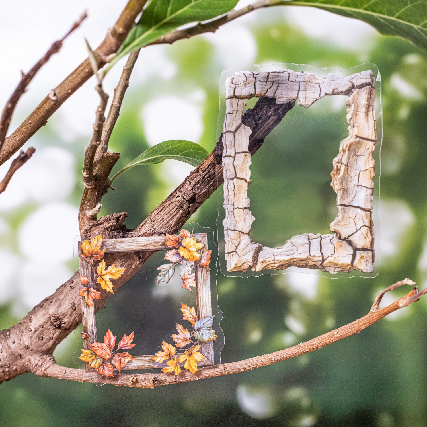 10 Pcs Wooden Frame PET Stickers SYMK