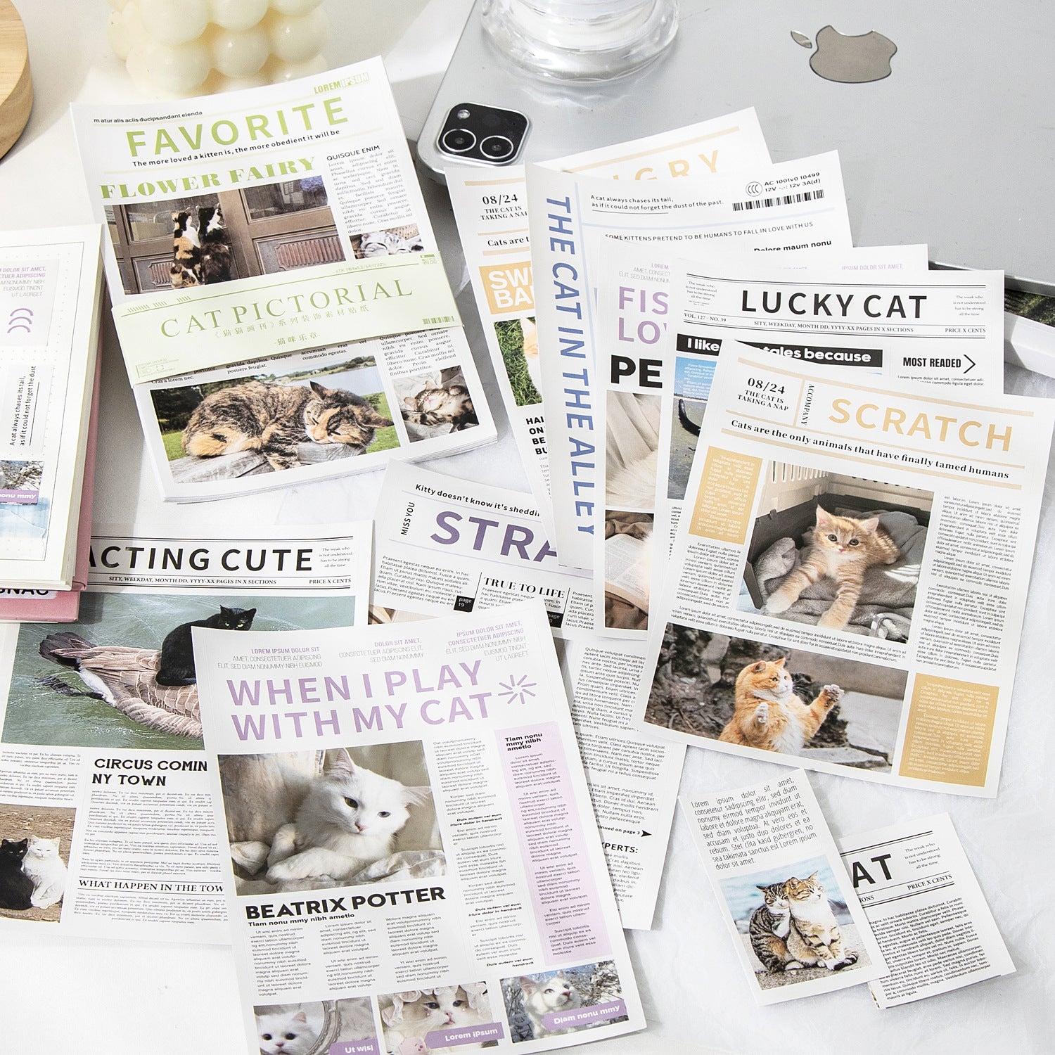 Hakan Cat Stickers Book
